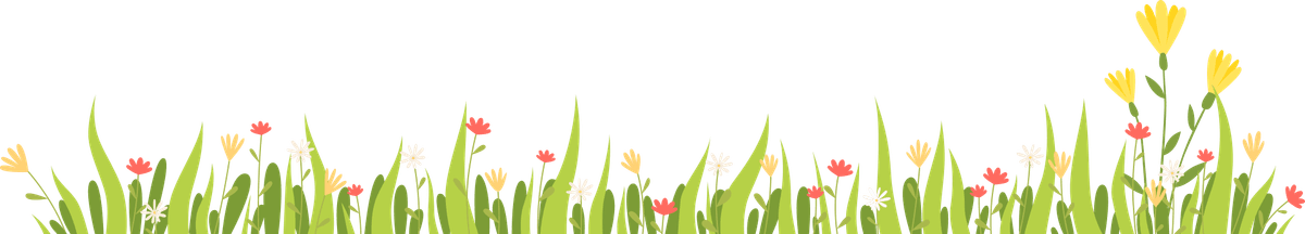 Grass and wildflowers border