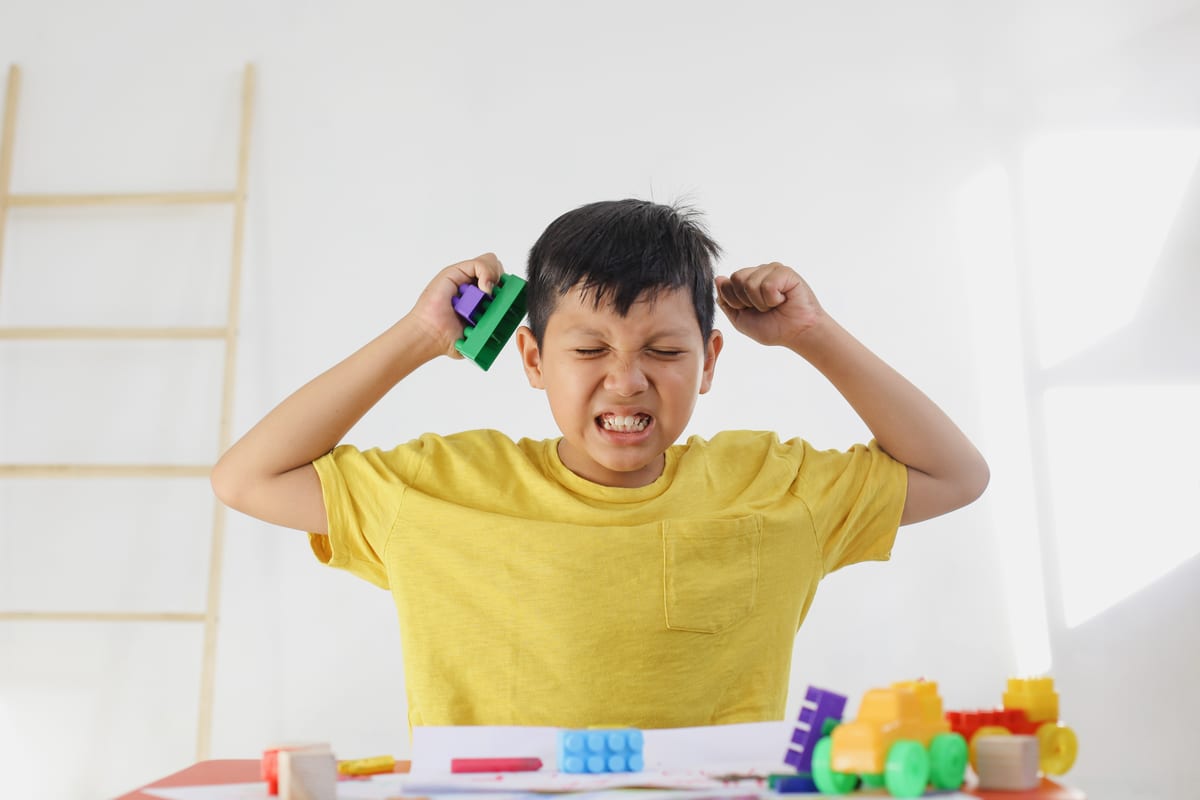 Sensory Overload in Children: